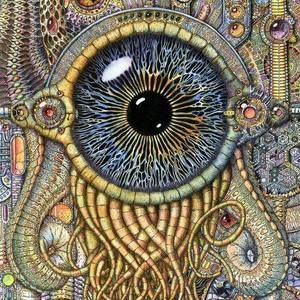 Meet your Posher, Lindsay